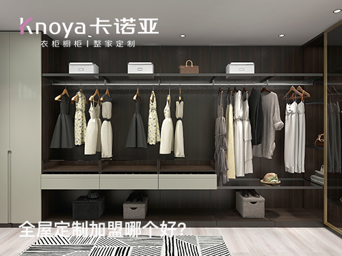 來(lái)賓全屋定制加盟哪個(gè)品牌好?來(lái)賓全屋定制加盟費(fèi)用